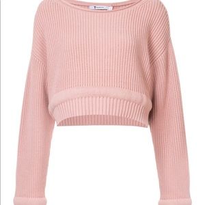 Alexander wang crop sweater